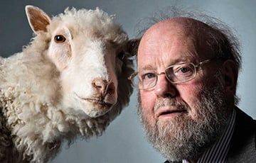 Умер шотландский ученый, клонировавший овечку Долли - charter97.org - Белоруссия