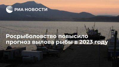 Илья Шестаков - Дмитрий Патрушев - Росрыболовство повысило прогноз вылова рыбы в 2023 году до 5,08 млн тонн - smartmoney.one - Россия - Дальний Восток