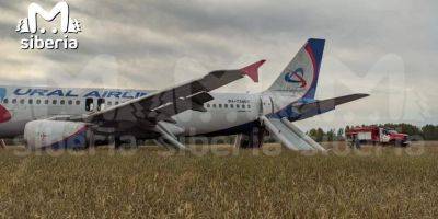 В России самолет со 170 пассажирами совершил аварийную посадку в поле - nv.ua - Россия - Украина - Сочи - Новосибирск - Омск