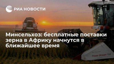 Владимир Путин - Дмитрий Патрушев - Патрушев: бесплатные поставки зерна в Африку должны стартовать в ближайшее время - smartmoney.one - Россия - Владивосток