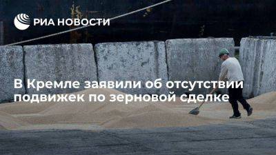 Дмитрий Песков - Песков заявил, что никаких подвижек по зерновой сделке нет - smartmoney.one - Россия