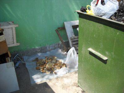 Ташкентцы ежедневно выбрасывают в мусор три тонны хлеба - podrobno.uz - Узбекистан - Ташкент