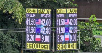Евгений Дубогрыз - Доллар будет по 41,4: почему Минфину не нравится укрепление гривны - focus.ua - Украина