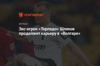 Экс-игрок «Торпедо» Шляков продолжит карьеру в «Волгаре» - championat.com - Россия - Румыния - Брянск