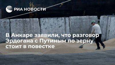 Владимир Путин - Реджеп Тайип Эрдоган - Тайип Эрдоган - Администрация Эрдогана: разговор с Путиным о зерновой сделке стоит в повестке - smartmoney.one - Россия - Украина - Турция - Нью-Йорк - Индия - Нью-Йорк