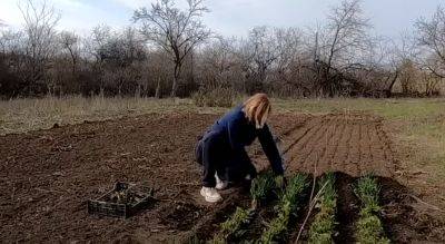 Вышли на огород - и сразу попали на штраф в 3600 гривен: чем рискуют украинцы, имеющие свою землю - hyser.com.ua - Украина