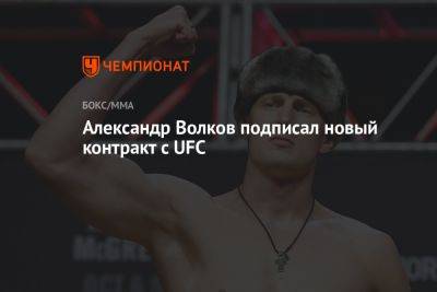 Александр Волков - Томас Аспиналл - Александр Волков подписал новый контракт с UFC - championat.com - Россия - Англия