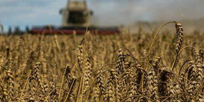 Россия с июля уничтожила 280 000 тонн украинского зерна в портах - biz.nv.ua - Россия - Украина - Англия - Египет - Дунай