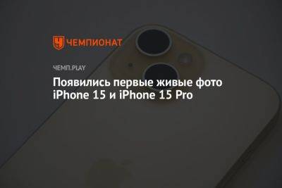 Появились первые живые фото iPhone 15 и iPhone 15 Pro - championat.com