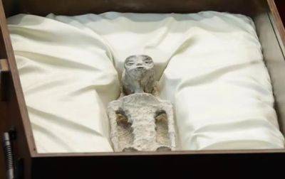 В Конгрессе Мексики показали мумии "инопланетян" - korrespondent.net - США - Украина - Мексика