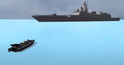 Дмитрий Плетенчук - 250 тыс. долларов: специалисты показали, как работают надводные морские дроны Украины (видео) - focus.ua - Россия - Украина - Крым