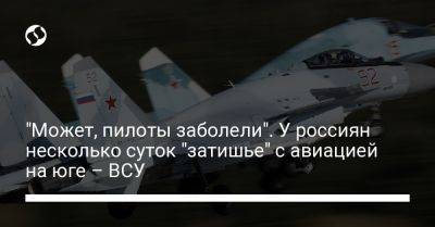 Александр Штупун - "Может, пилоты заболели". У россиян несколько суток "затишье" с авиацией на юге – ВСУ - liga.net - Россия - Украина