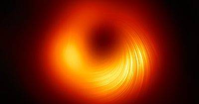 Самый загадочный объект во Вселенной: как на самом деле получили снимки первых черных дыр (фото) - focus.ua - Украина