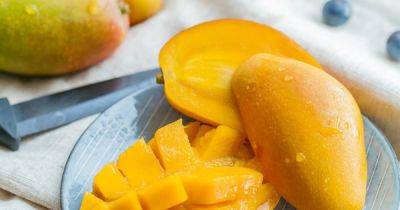 Как почистить манго? Зачем украинцам знать и любить тропического "короля фруктов" - dsnews.ua - Украина - Индия - Бирма