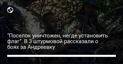 "Поселок уничтожен, негде установить флаг". В 3 штурмовой рассказали о боях за Андреевку - liga.net - Россия - Украина