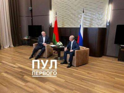 Владимир Путин - Александр Лукашенко - Пресс-служба Лукашенко опубликовала фото с его встречи с Путиным. Он опять сидел в «вассальской» позе - udf.by - Россия - Сочи - Reuters