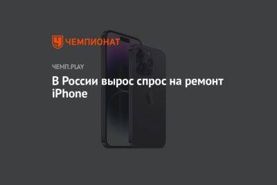 Тим Кук - В России вырос спрос на ремонт iPhone - championat.com - Москва - Россия - Санкт-Петербург