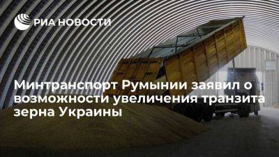 Владимир Путин - Румынский министр заявил о возможности увеличения транзита зерна Украины - smartmoney.one - Россия - США - Украина - Молдавия - Турция - Румыния - Констанца