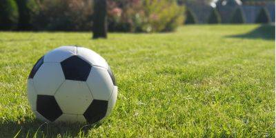 Футбол станет популярнее. В Бразилии одобрили законопроект о ставках на спорт - nv.ua - США - Украина - Бразилия