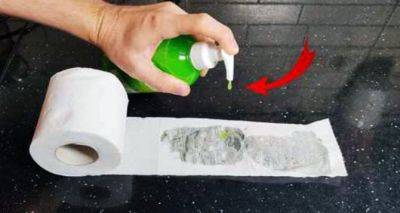 Лучше влажных салфеток: зачем натирать туалетную бумагу мылом - cxid.info