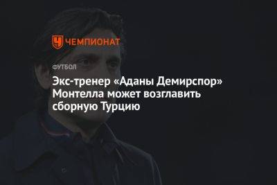 Николо Скир - Экс-тренер «Аданы Демирспор» Монтелла может возглавить сборную Турцию - championat.com - Турция - Германия