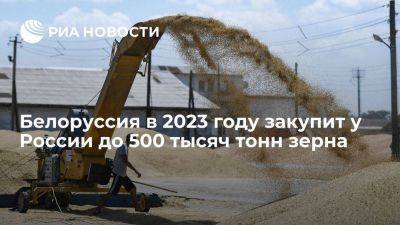 Леонид Заяц - В Белоруссии сообщили, что в 2023 году закупят у России до 500 тысяч тонн зерна - smartmoney.one - Россия - Белоруссия