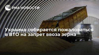 Тарас Качка - Украина сегодня подаст жалобу в ВТО на три страны из-за запрета на ввоз зерна - smartmoney.one - Украина - Киев - Венгрия - Польша - Будапешт - Варшава - Словакия