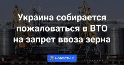 Украина собирается пожаловаться в ВТО на запрет ввоза зерна - smartmoney.one - Украина - Киев - Венгрия - Польша - Будапешт - Варшава - Словакия