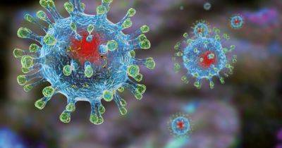 Штамм коронавируса Пирола распространяется по Европе: что известно - dsnews.ua - Норвегия - США - Украина - Англия - Швейцария - Израиль - Швеция - Канада - Дания - Таиланд - Юар