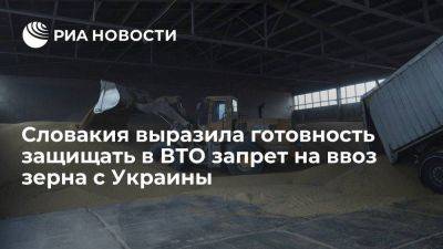 Глава Минсельхоза Словакии выразил готовность защищать в ВТО зерновое эмбарго - smartmoney.one - Украина - Киев - Венгрия - Польша - Брюссель - Словакия