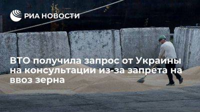 ВТО подтвердила, что Украина запросила консультации из-за запрета на ввоз зерна - smartmoney.one - Украина - Киев - Венгрия - Польша - Словакия