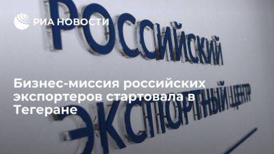 Бизнес-миссия российских экспортеров стартовала в Тегеране - smartmoney.one - Россия - Иран - Тегеран