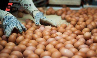 Производство яйца и мяса птицы с начала года выросло в Новосибирской области - smartmoney.one - Новосибирск - Новосибирская обл.