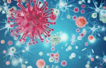 Минздрав рассказал о ситуации с заразным штаммом коронавируса «Пирола» в Беларуси - charter97.org - США - Израиль - Белоруссия - Франция - Швеция - Дания