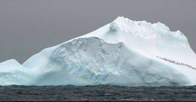 Разбудили гиганта Антарктики: ученые предупреждают о проблемах на Южном полюсе Земли - focus.ua - Украина - Антарктида