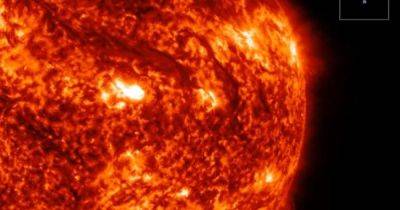 Самое большое извержение на Солнце. К Земле летит огромный поток горячей плазмы (видео) - focus.ua - США - Украина