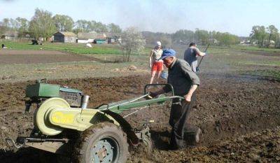 Под дачи или огороды: кому из украинцев начнут раздавать бесплатную землю - hyser.com.ua - Россия - Украина