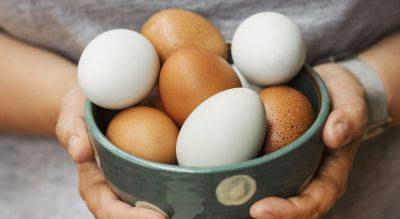 Почему не нужно покупать крупные отборные яйца: многие этого не знали - hyser.com.ua - Украина