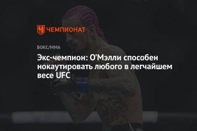 Доминик Круз - Шон Омэлли - Экс-чемпион: О’Мэлли способен нокаутировать любого в легчайшем весе UFC - championat.com