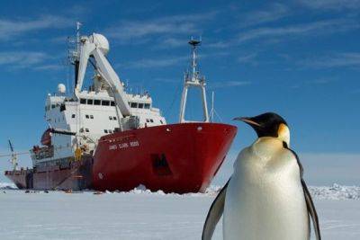 Австралия отправила в Антарктиду ледокол ради эвакуации больного ученого - BBC - unn.com.ua - Украина - Киев - Австралия - Антарктида