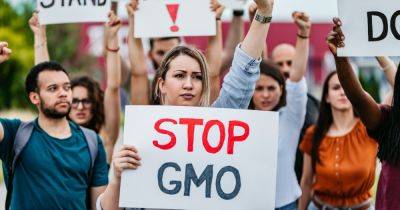 Мифы о ГМО. Как в Украине собираются контролировать производство генетически модифицированных продуктов - focus.ua - Украина