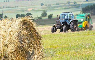 В Гомельской области проходят беспрецедентные чистки в аграрном секторе - charter97.org - Белоруссия - район Добрушский