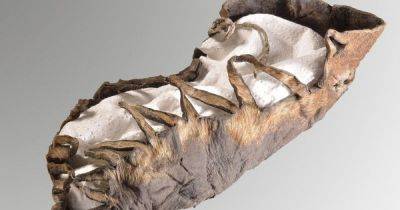 "Ботинок в отличном состоянии": ученые нашли 2000-летнюю обувь железного века в австрийской шахте - focus.ua - Австрия - Украина - Германия - Находка
