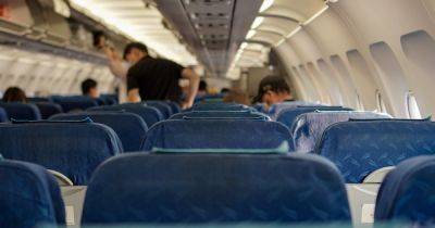 Пассажир самолета притворился вегетарианцем, чтобы дорого поесть: его "вывел на чистую воду" экипаж - focus.ua - Украина