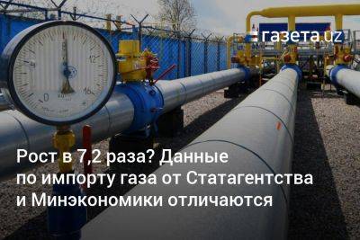 Рост в 7,2 раза? Данные по импорту газа от Статагентства и Минэкономики отличаются - gazeta.uz - США - Узбекистан - Туркмения