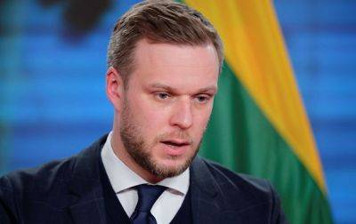 Гинтаре Скайсте - Глава МИД Литвы призвал и дальше поддерживать Украину - korrespondent.net - Россия - Украина - Литва
