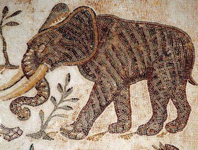 Юлий Цезарь - В Испании нашли останки боевого слона, которым 2000 лет - фото - apostrophe.ua - Украина - Испания - Римская Империя