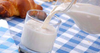 Изменен техрегламент ЕАЭС «О безопасности молока и молочной продукции» - produkt.by - Белоруссия - Таможенный Союз