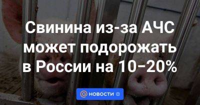 Свинина из-за АЧС может подорожать в России на 10−20% - smartmoney.one - Россия - Краснодарский край - Ставрополье