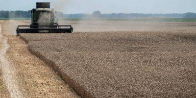 Словакия назвала условие, при котором сможет снять запрет на импорт украинского зерна - nv.ua - Украина - Румыния - Венгрия - Польша - Болгария - Словакия